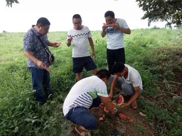 爱心行动进行中，帮扶贫困瓜农！