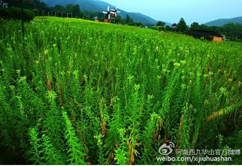 暮鼓晨钟 别致消遣--最美西九华山