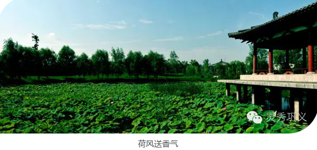 雨后巩义——凉城美景，赏心乐事之地