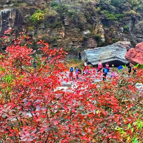 “三山同登”群众登山健身大会 为你送去关山最美的一面！