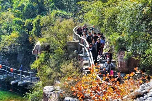 “三山同登”群众登山健身大会 为你送去关山最美的一面！