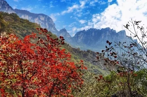 “三山同登”群众登山健身大会 为你送去关山最美的一面！