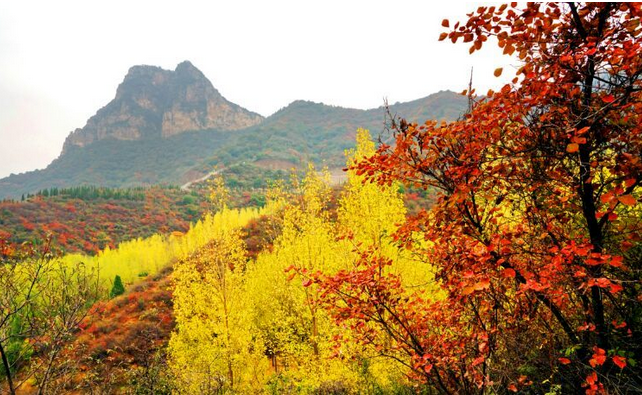 荆紫仙山赏红叶，看万山红遍！