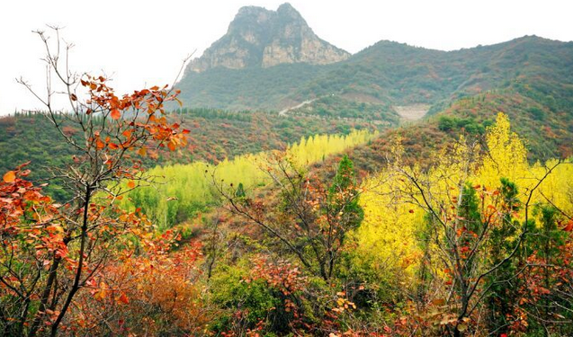 荆紫仙山赏红叶，看万山红遍！