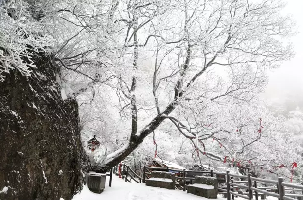 君山之上恰逢云雪雾凇