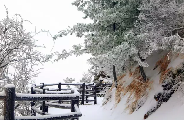 君山之上恰逢云雪雾凇