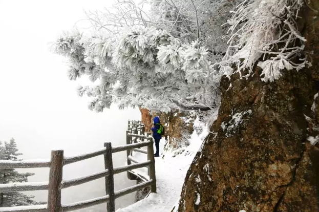 君山之上恰逢云雪雾凇