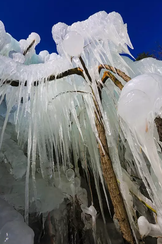 元宵前夕大雪至，云霄雪海闹元宵