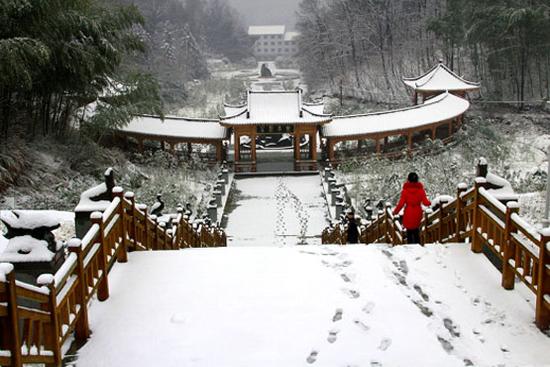 又是春来时 雪染西九华