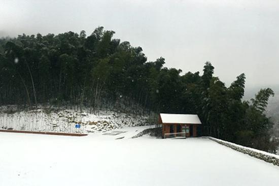 又是春来时 雪染西九华