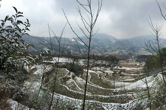 又是春来时 雪染西九华