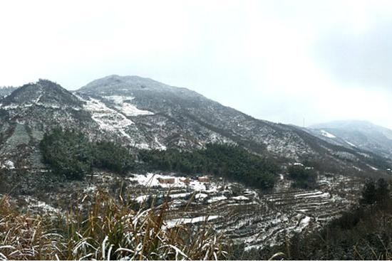 又是春来时 雪染西九华