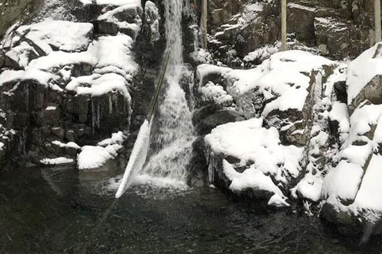 又是春来时 雪染西九华