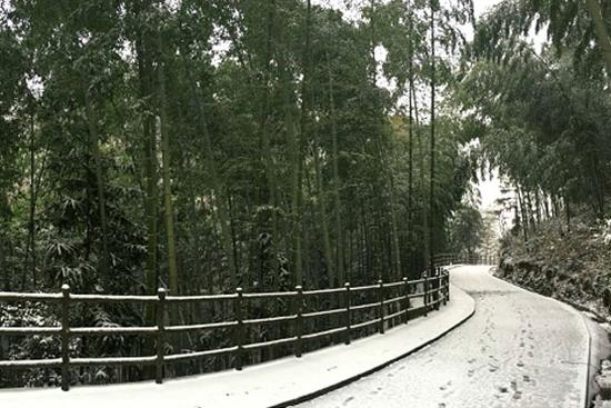 又是春来时 雪染西九华