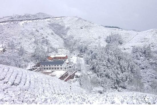 又是春来时 雪染西九华