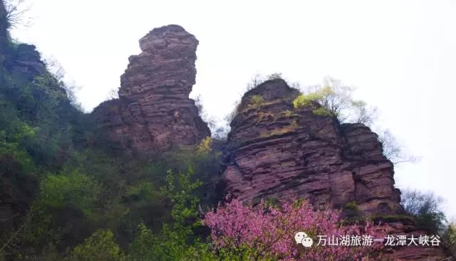 不负春色不负卿||荆紫仙山景区和龙潭大峡谷景区献礼女人节 3月8日免费畅游