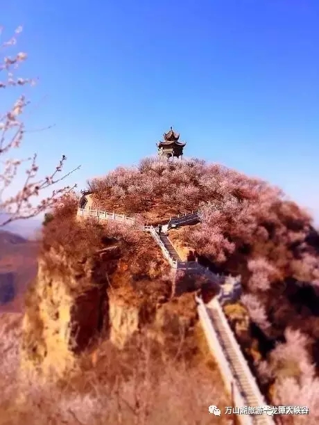 不负春色不负卿||荆紫仙山景区和龙潭大峡谷景区献礼女人节 3月8日免费畅游