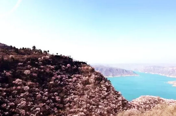 桃花之约•浪漫之旅 荆紫仙山举行第三届桃花节新闻发布会