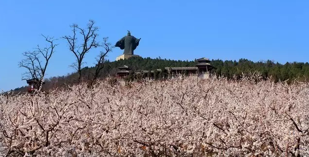 永城芒砀山5A级景区新产品发布会在郑州顺利召开