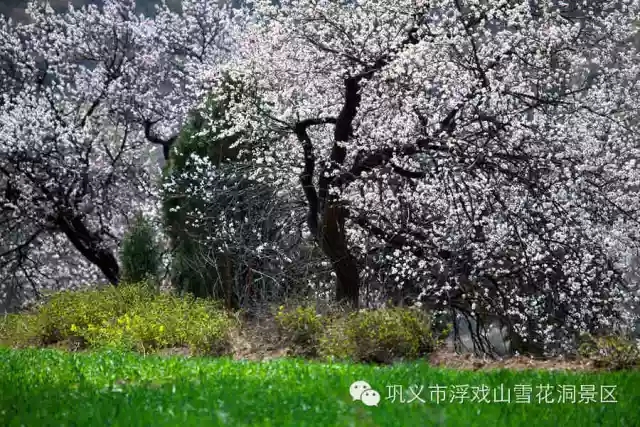 寻爱何必三生三世，相约浮戏臻爱一生！