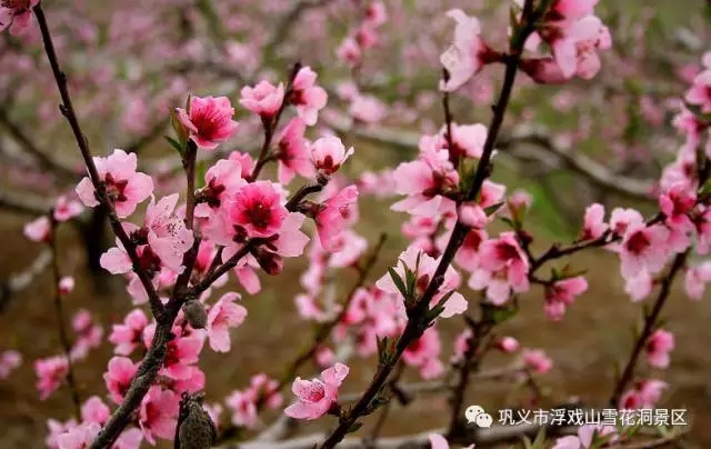 寻爱何必三生三世，相约浮戏臻爱一生！