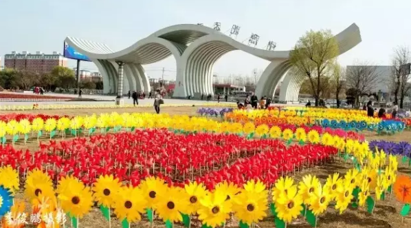 鄢陵花博园带你邂逅一场风车花的童话世界