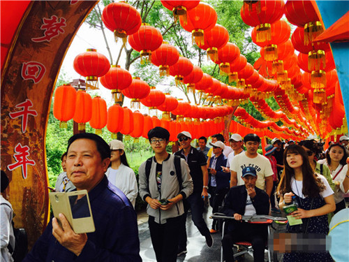 初夏林郁绿更浓，开封清园繁花一园香