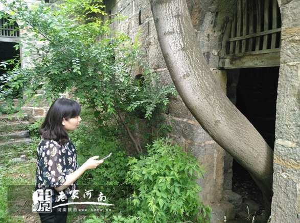 巩义市文物和旅游局多措并举助力帮扶责任村发展