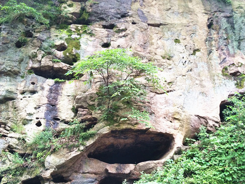 美途携手省内旅游界同仁桐柏淮源景区采风活动圆满成功