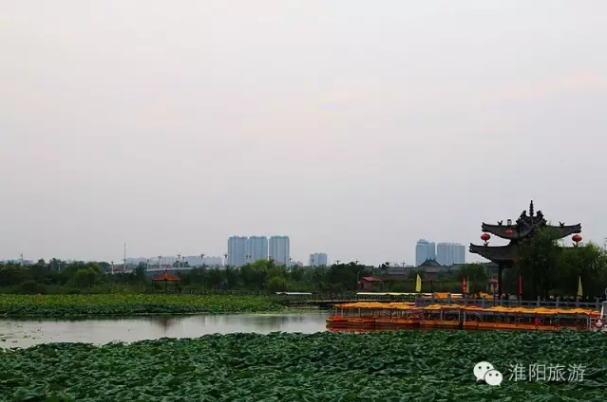 2017年中国·淮阳龙湖赏荷旅游月精彩活动抢先看