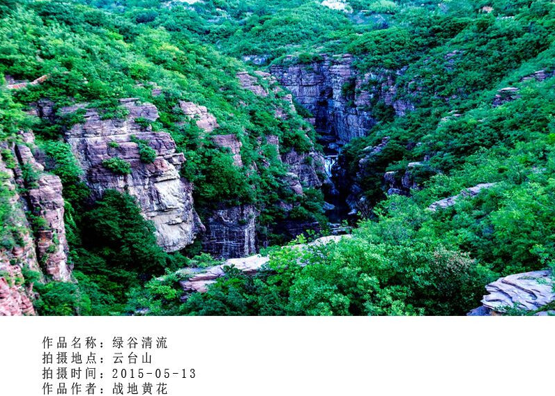 留住秀美山水风光！云台山全国摄影大展反响强烈，作品征集超千幅