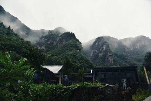 巩义：夏雨呢喃 浮戏如梦