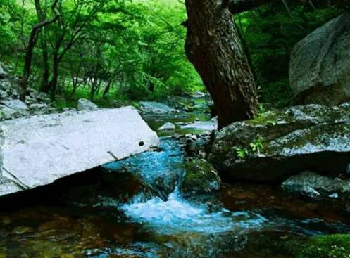 来巩义浮戏山听溪水唱歌 感受田园里夏天的清凉