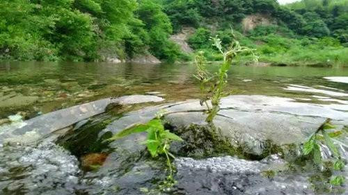 夏天来巩义浮戏山 独享这一片清凉秘境