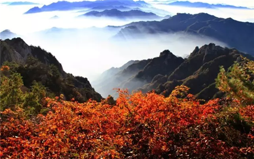 今日立秋，来老君山感受一路清凉......