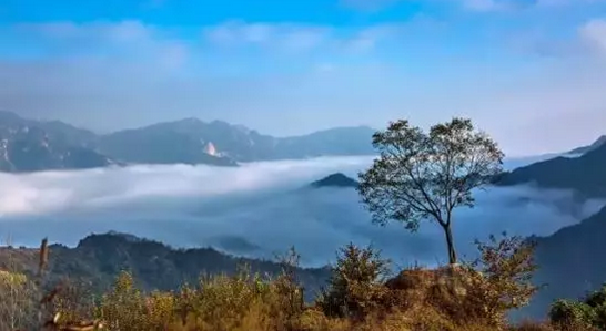 来南召五朵山感知秋意 开启一段清爽旅行