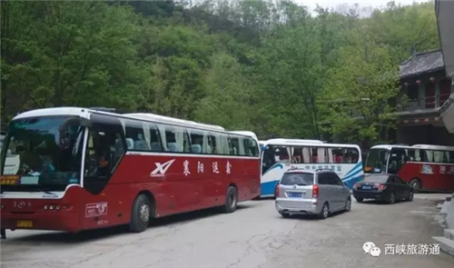 不知道西峡“四火”，你就过了一个假夏天