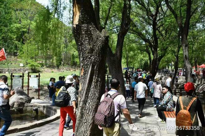 八月王屋山之旅，你来问，我来答！！