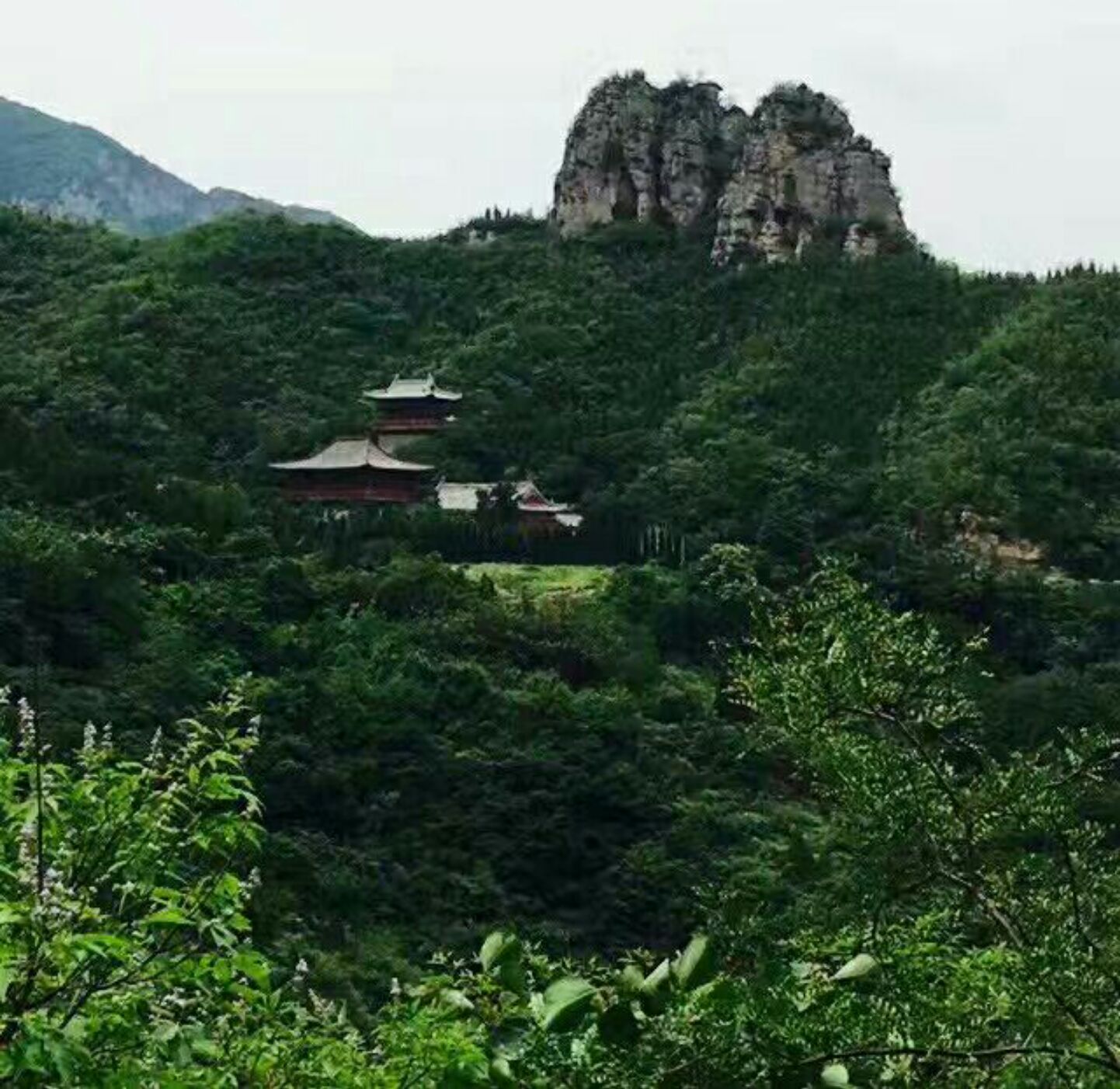 8月26-28日七夕文化节 青龙山十六道桃味等你来