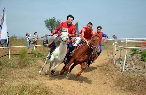 寻梦草原何须远行千里? 2017云梦山草原风情音乐节旅游推介会情洒郑州