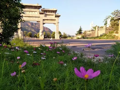 云梦山胡枝子开花惊艳谁