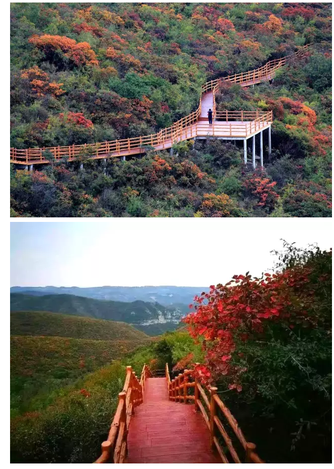 数万人“双节”冒雨畅游青天河，焦作太行红叶节15日正式开幕！