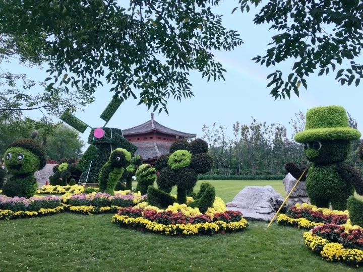 大家好，这是今年菊花文化节的菊展造型 @你