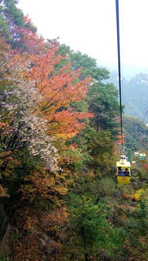 火红请柬今发出 尧山邀您来赏红