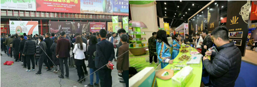 “果礼时代”渐入佳境，“7不够”拔得头筹