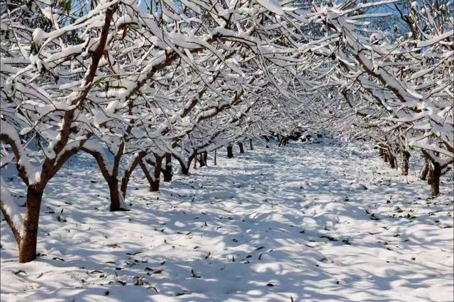 来17°的芒砀山 体验冬雪芳华