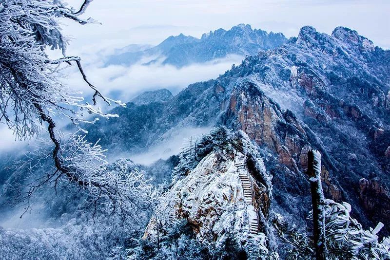 你再不来，我要下雪
