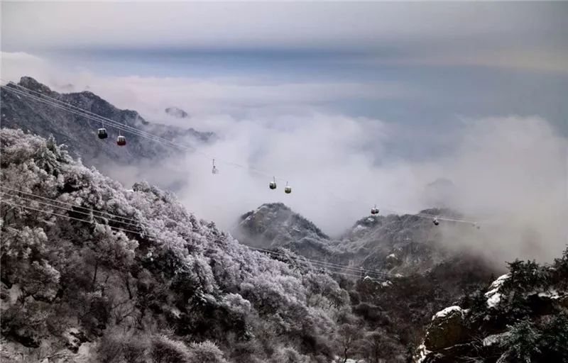 你再不来，我要下雪