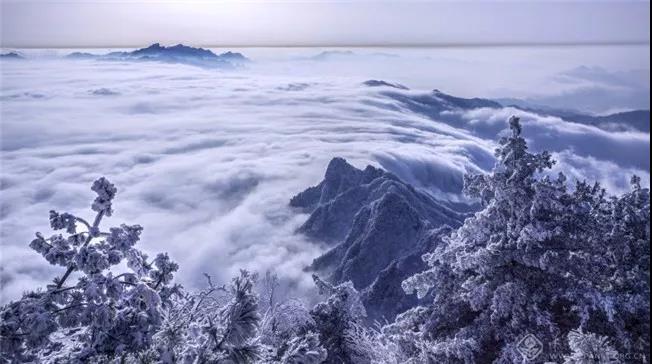 你再不来，我要下雪