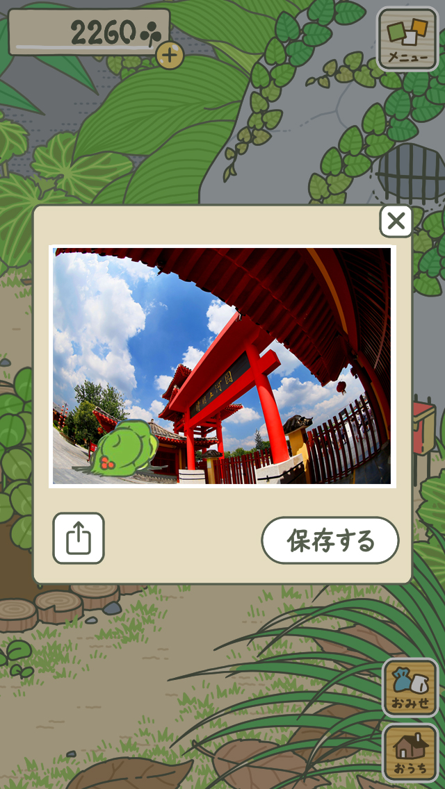 你们的蛙儿子为什么不回家？